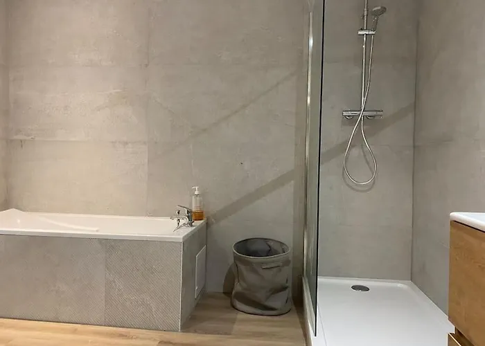 Maison Entière 6 Personnes Jardin Terrasses Et Garage *